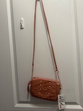 Wild Fable Coral Studded Crossbody Bag with Chain Strap